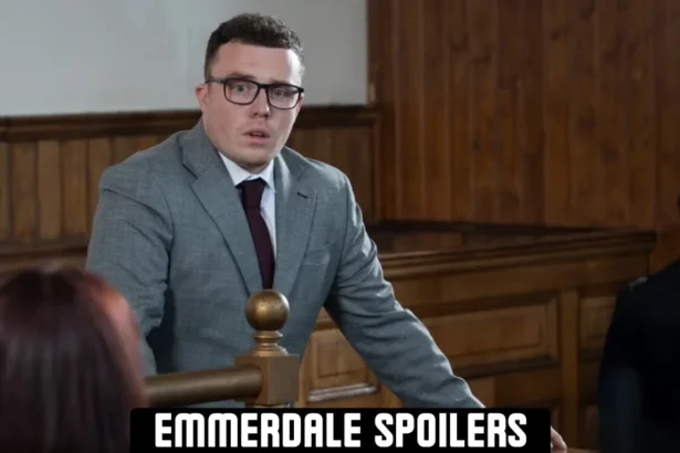 vinny dingle