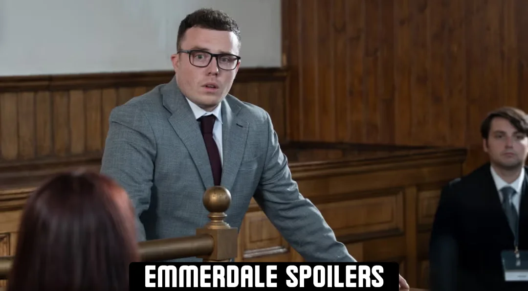 vinny dingle